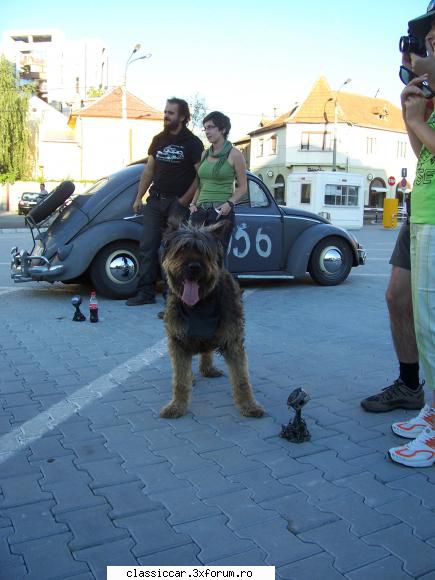 brasov classic rally 2011 artistii poza...