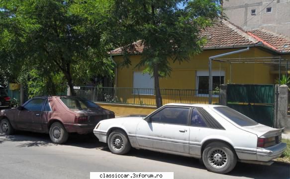 clasice din timisoara ale aceluiasi proprietar (cel casa galbena din spate). acum 4-5 ani erau