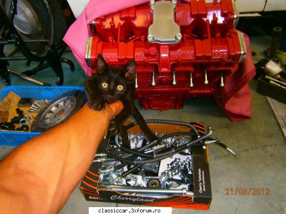 suzuki gsx katana 1100 kat kat dusman mitzi ...voia fure motoru Corespondent 