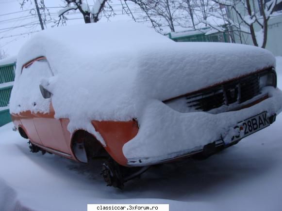 dacia 1300 din 1979 momentan butuci, fiindca n-am avut sticle lapte. dat jos rotile coafez.