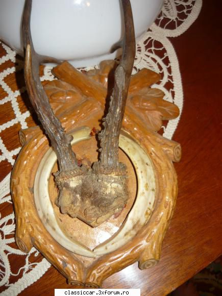 trofeee cerb primul lemnul care sunt prinse este sculptat motiv vinatoresc