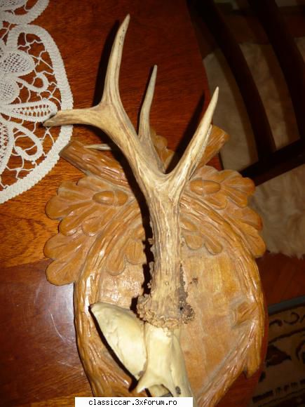 trofeee cerb poza gresita