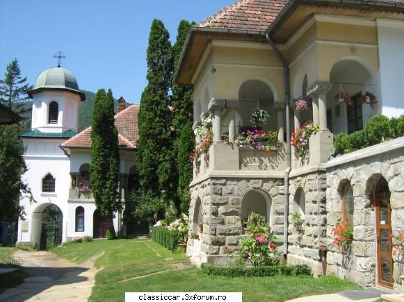 coada scurta (lastun) cluj .... curtea manasirii