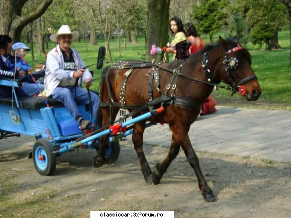 piaggio ape scris:si vazut-o cunosc omul are carut albastru care plimba copii parc cun ponei Admin