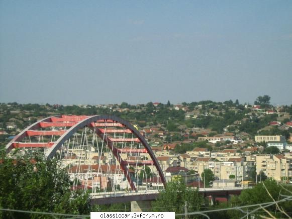 coada scurta mare drumul intoarcere cernavoda