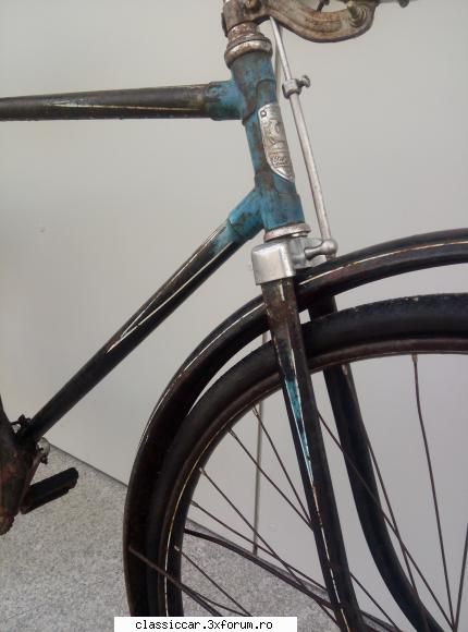 carpati 1959 detaliu vopsea