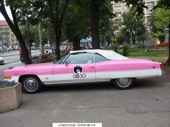 clasice din timisoara big pink daddy caddy