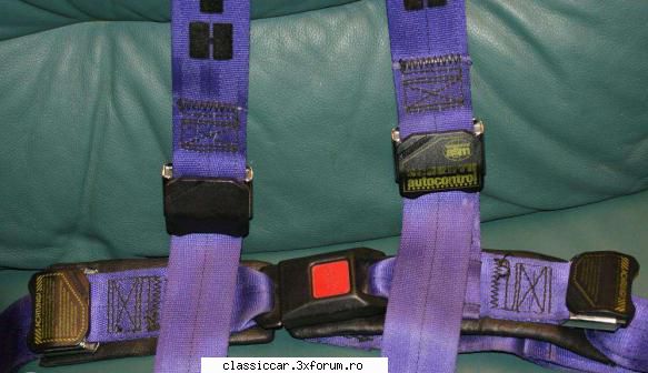 vand centuri sport schroth buckle