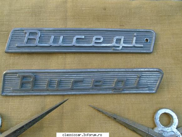 vand embleme camionsr embleme buceag