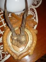 talcioc lichidare (colectie stocuri vechituri trofeu cerb-100 leiam buc