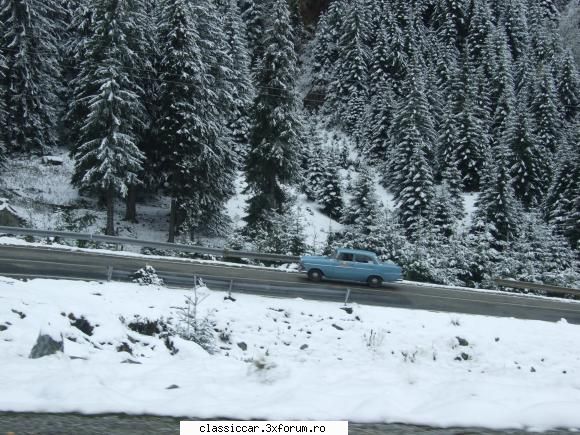 alta matusica si bestia bleu curtea de arges - balea lac