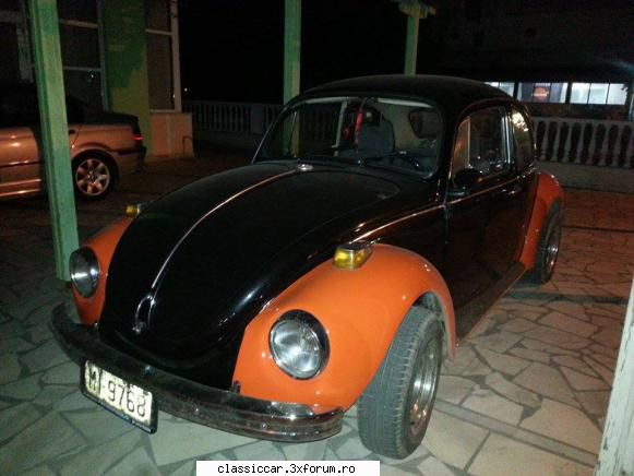 din grecia beetle