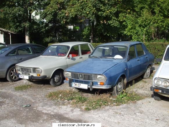 clasice din timisoara foarte greu mai gasesti zilele noastre doua dacia 1300 una langa alta