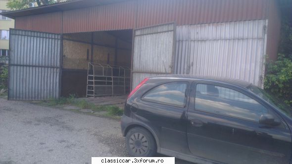 papagali alte pasari exotice inaltime usi 2,60m