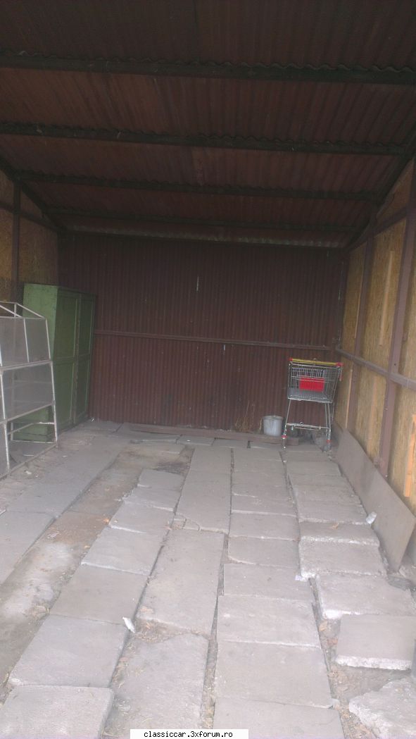 papagali alte pasari exotice trebuie facut curat