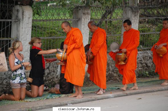 papagali alte pasari exotice papagalul szasz iarasi incepe gargara vrea cumpere mobrele lui adi.ala Admin