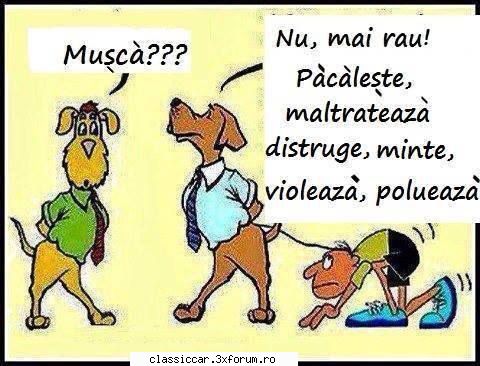 papagali alte pasari exotice periculos individ.