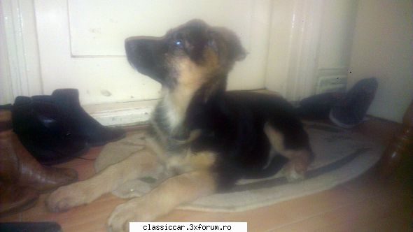 pentru adi pintea! bine, cadou din partea medicilor incercat tot le-a stat putere salva tasha:are