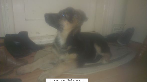 pentru adi pintea! dragă adi, ţi prezint cea mai lupta picioarele şi ciorapii mei: