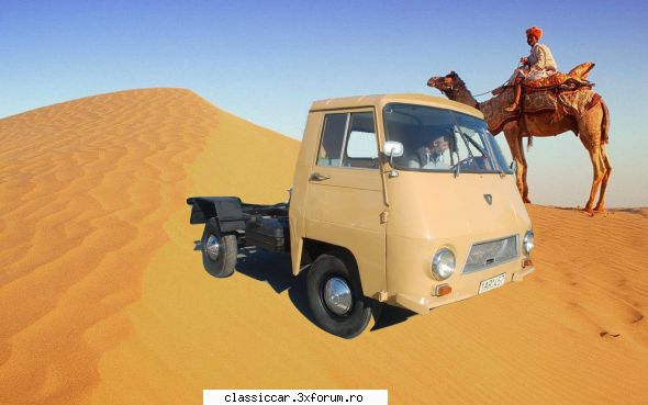 papagali alte pasari exotice arad. s-au băgat zimbrii arad, locali s-au băgat zimbrii chef