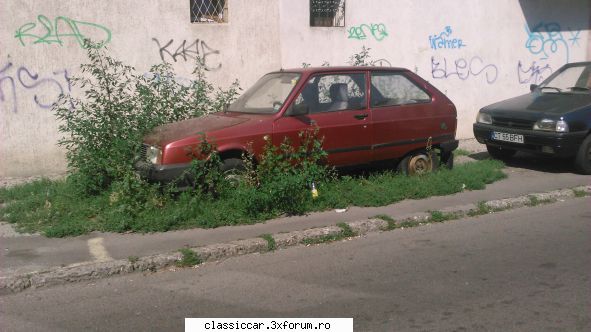 mai sunt citeva masini vechi constanta care merita salvate! oltcit inconjurat balarii