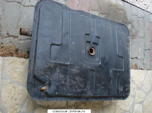 papagali alte pasari exotice vedeti ptesc claudiu, imi trimite rezervos 1320 dup spusele lui