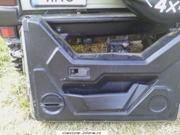 porterele sunt vopsite 