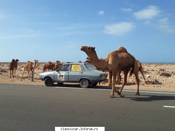 budapest bamako 2018 camel trophy? ambele echipaje tin bine! dacia vanduta, dupa trece linia finish Admin