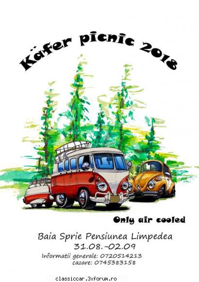 picnic kafer 2018 doar vw-uri air cooled