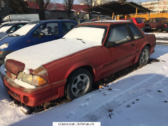 mai sunt citeva masini vechi constanta care merita salvate! mustang