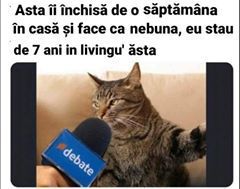 informatii utile miau