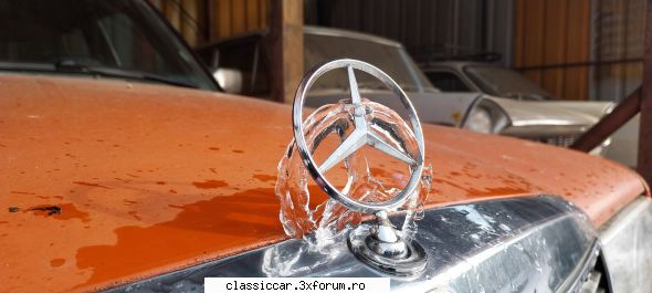 o poza de peste iarna .... - 1977 mercedes 240 d (w123)