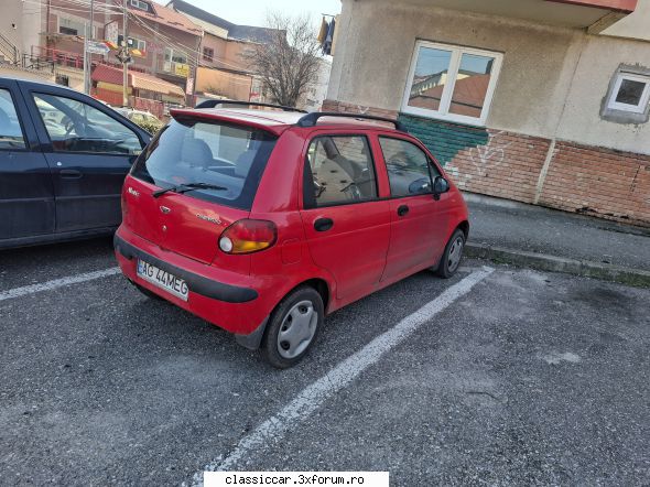 prin arges vremea c�nd eram zg�mboi mai vedeam exemplare genu' acesta, �nsă mai sunt aparent,