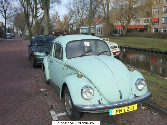 prin olanda, leiden beetle