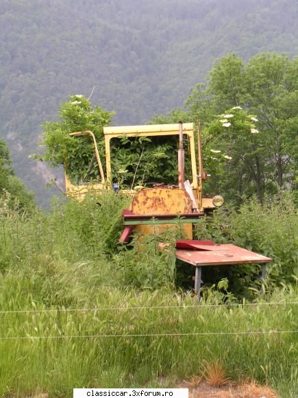 foto... pun poza,nici stiu daca merge aici sau mai degraba ,,rust veste buna este noi poza.