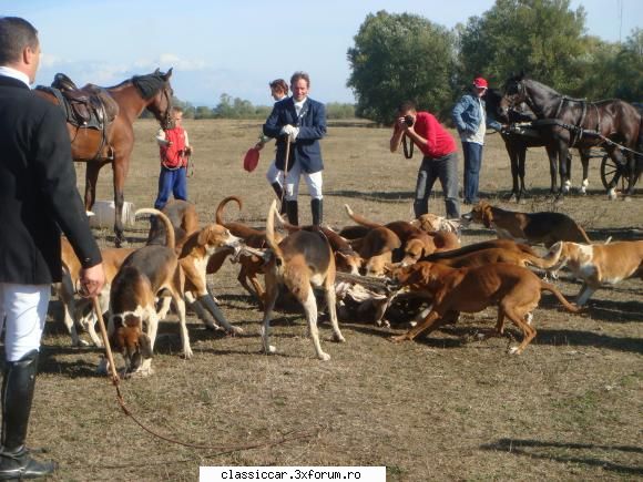 aro misiune vinatoarea copoi din vinatoare copoi organizat observat aro misiune.