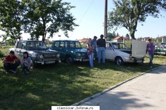 poze filmulete satu mare 5-6 iunie. 2010 filiera