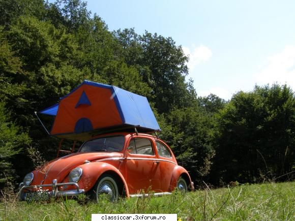 1961 orange vw1200 ragtop ocazia acestei iesiri l-am inaugurat. doarme foarte bine el, contar nici