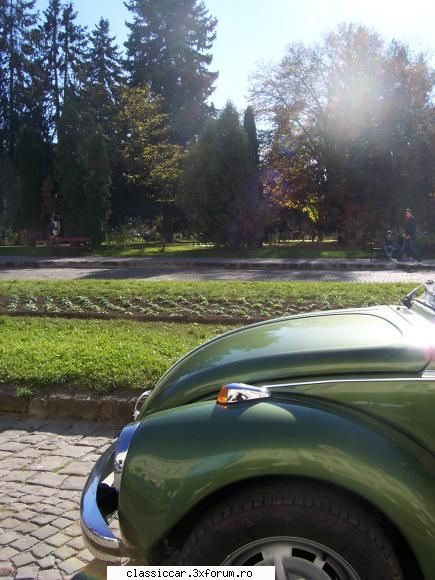 brasov clasic rally 2010 green beetle..