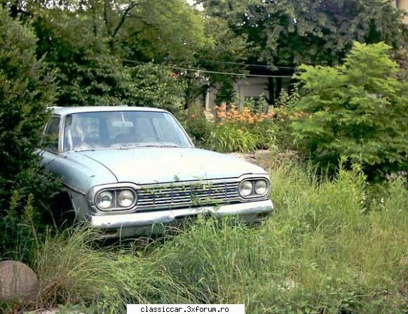 AMC Rambler Abassador Wagon - Deja incepe sa rasara iarba prin grila - Vanatoarea de epave