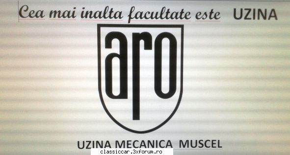 ARO 10.1 la Cluj - Ma pregatesc. Am comandat si un steag pentru - Prezentare masini