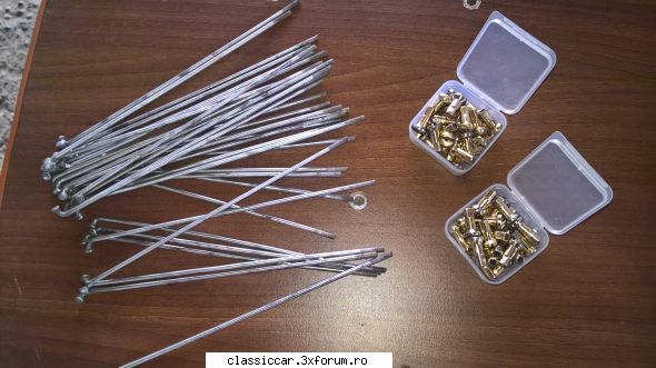 Actiunea ,,Mobra'' - Am pregatit spitele prin pasluire si niplurile - Reconditionari si Restaurari