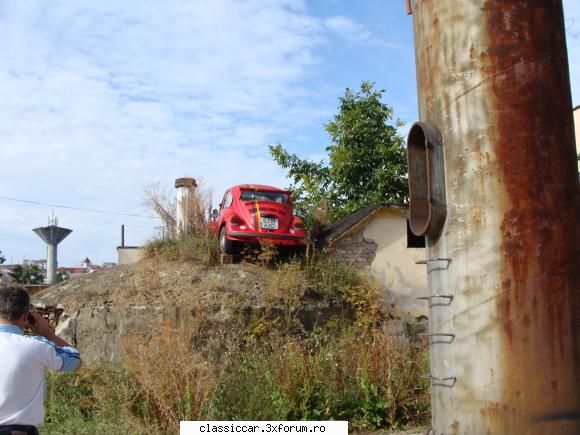 Am vazut o brosca in Zalau - emil aluas - Am vazut prin Romania