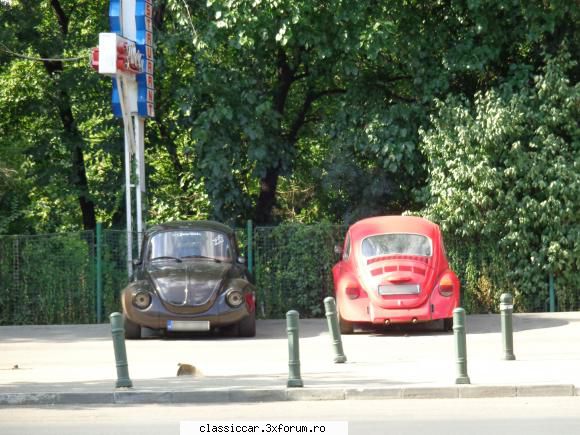 Am vazut prin Bucuresti - Doua broaste :) - Am vazut prin Romania