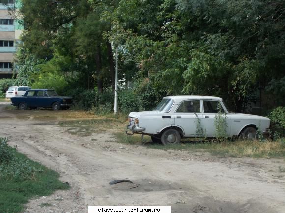 Am vazut prin Craiova - O priveliste chiar foarte rara...nici pe la Remat - Am vazut prin Romania