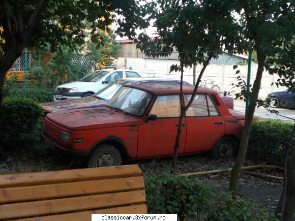 Am vazut prin Filiasi - Ma intreb cum de n-au maturat tot coloratii si - Am vazut prin Romania
