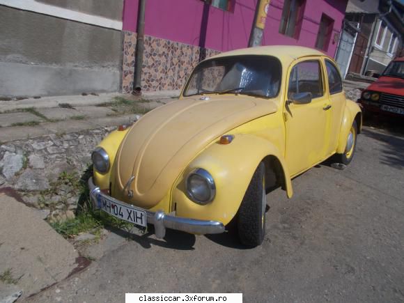 Am vazut prin Orsova - Mi se par cunoscute amandoua broastele - Am vazut prin Romania