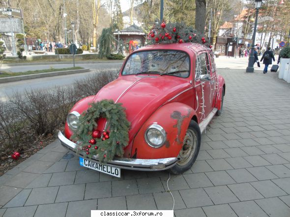 Am vazut prin Ploiesti - o broscuta la Sinaia - Am vazut prin Romania