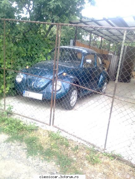 Am vazut prin jud. Suceava - Am gasit-o azi la mine in oras , in curtea unui - Am vazut prin Romania
