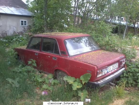 Am vazut prin jud. Suceava - Palarie-ntr-un picior, ghici (ciuperca) ce-i - Am vazut prin Romania